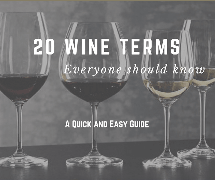 A Beginner's Guide to Wine Terms